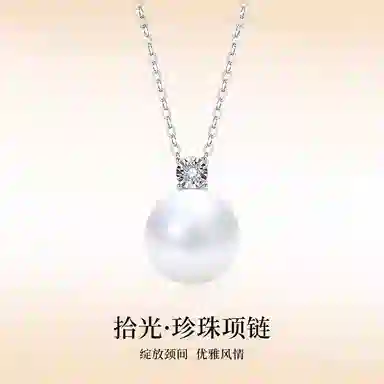 CHEESEFAN S925