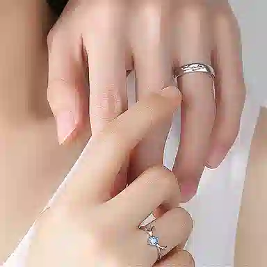 CHEESEFAN S925