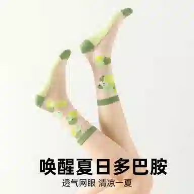 PL 5