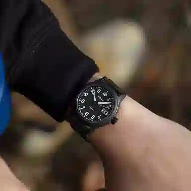 Timex Quartz Black Dial
