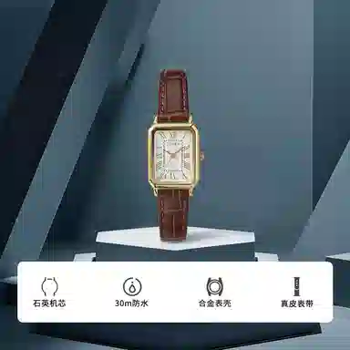 TIMEX Main Street 21mm 30