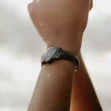 Hamilton Ventura H24201730