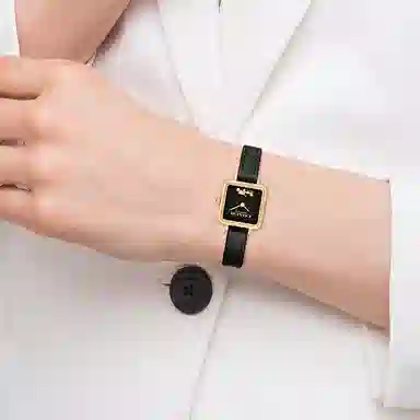 COACHCass 22mm 14504225