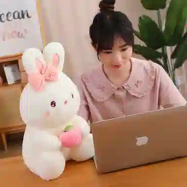 25cm40cm55cm50cm70cm