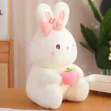 25cm40cm55cm50cm70cm