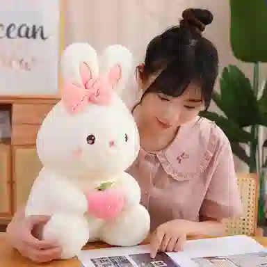 25cm40cm55cm50cm70cm