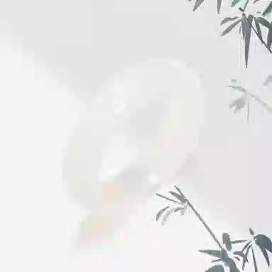 VOEX