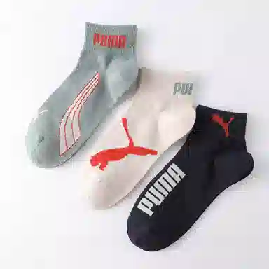 PUMA 3