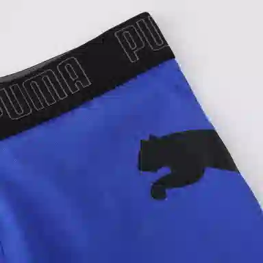 PUMA 2