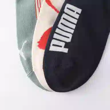 PUMA 3
