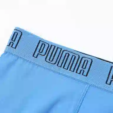 PUMA 2