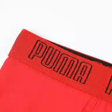 PUMA 2