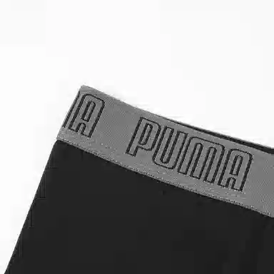 PUMA 2