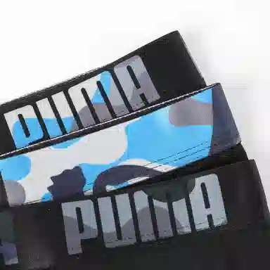 PUMA 3