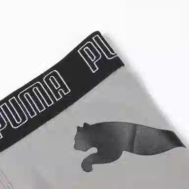 PUMA 2