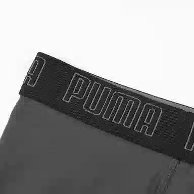 PUMA 2
