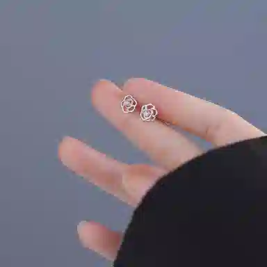 ERROR S999