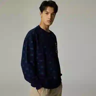 Dickies
