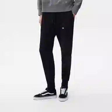 Dickies logo
