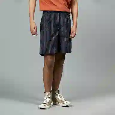 Dickies Shorts