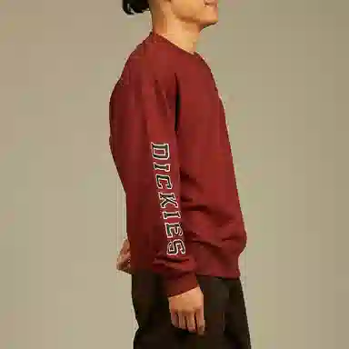 Dickies Logo