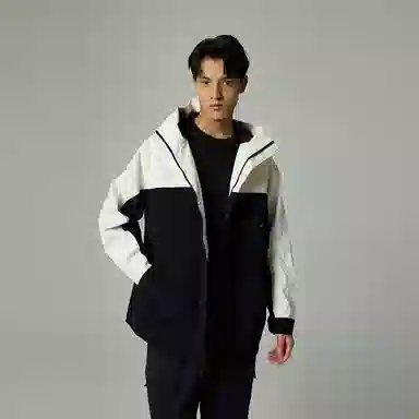 Dickies