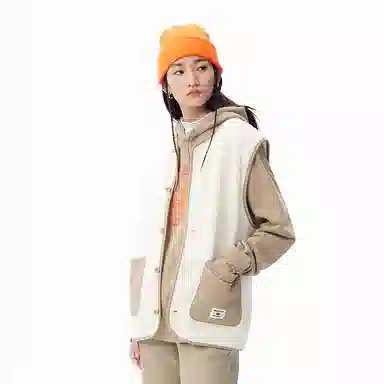 Dickies DK011260C10
