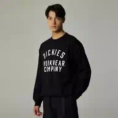 Dickies DK0A87C5BLK
