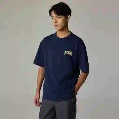 Dickies T DK012902B29