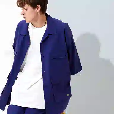 Dickies