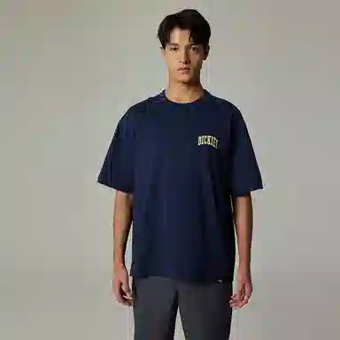 Dickies T DK012902B29
