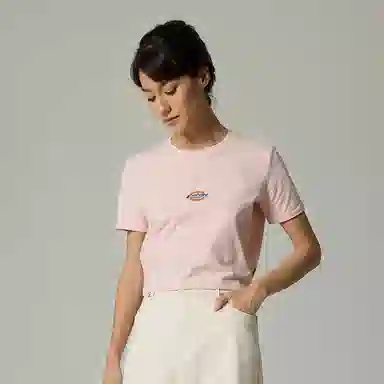 Dickies T DK012314B80