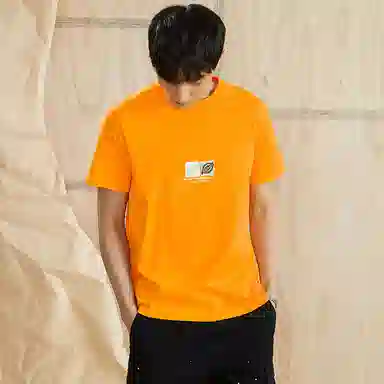 DIckiesT T
