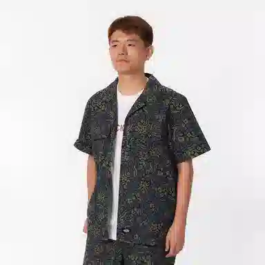 dickies