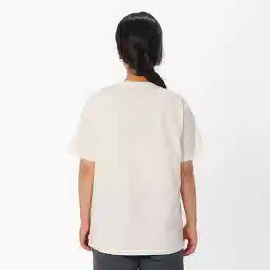 dickies logoT