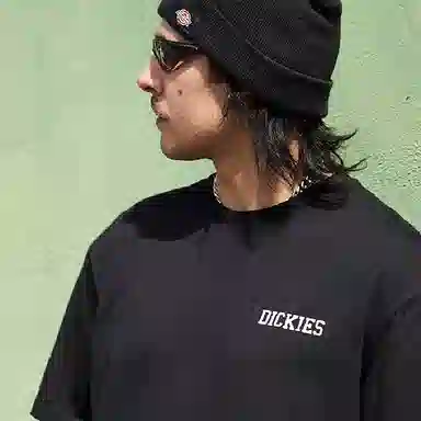 Dickies s logo T DK0A87MK