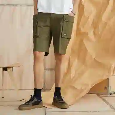 Dickies