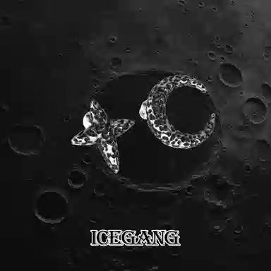 ICEGANG 925