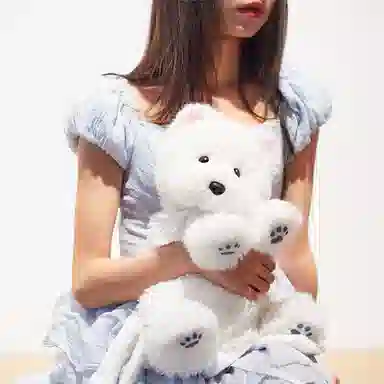 Chongker 40cm