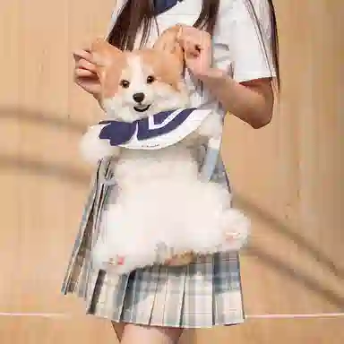 Chongker 50cm