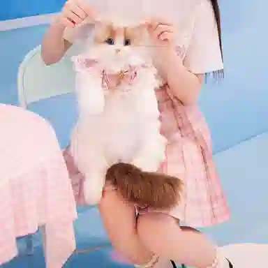 Chongker