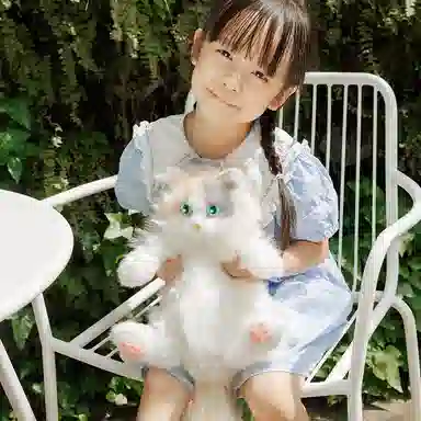 Chongker 46cm