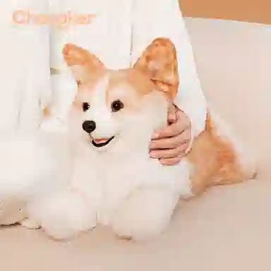 Chongker 26.5cm