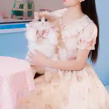 Chongker