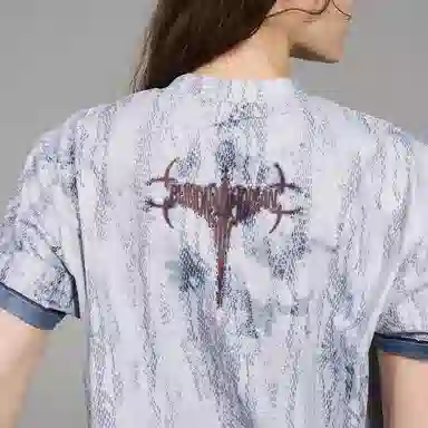 BLINDNOPLAN T