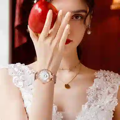 LIBER AEDON LA-ZK815MA