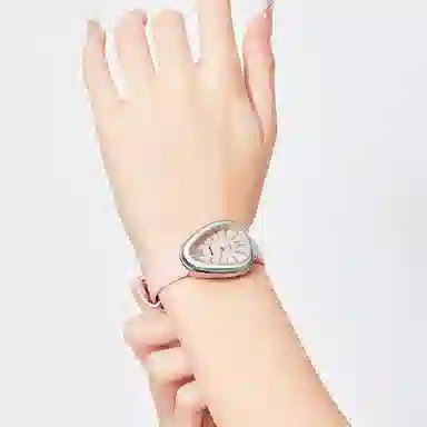 LIBER AEDON ins