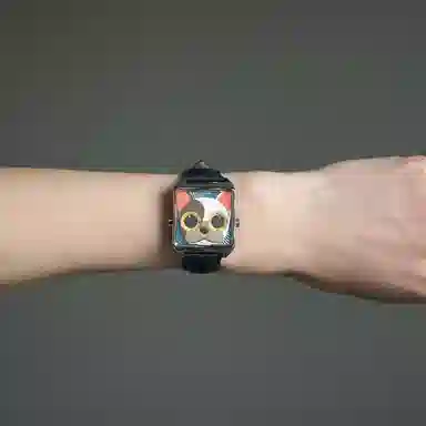 HappieWatch