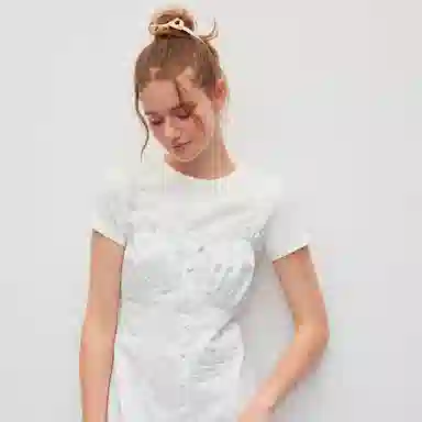 Teenie Weenie bearnova