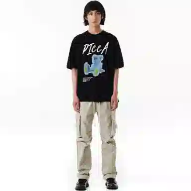 Picca logoT